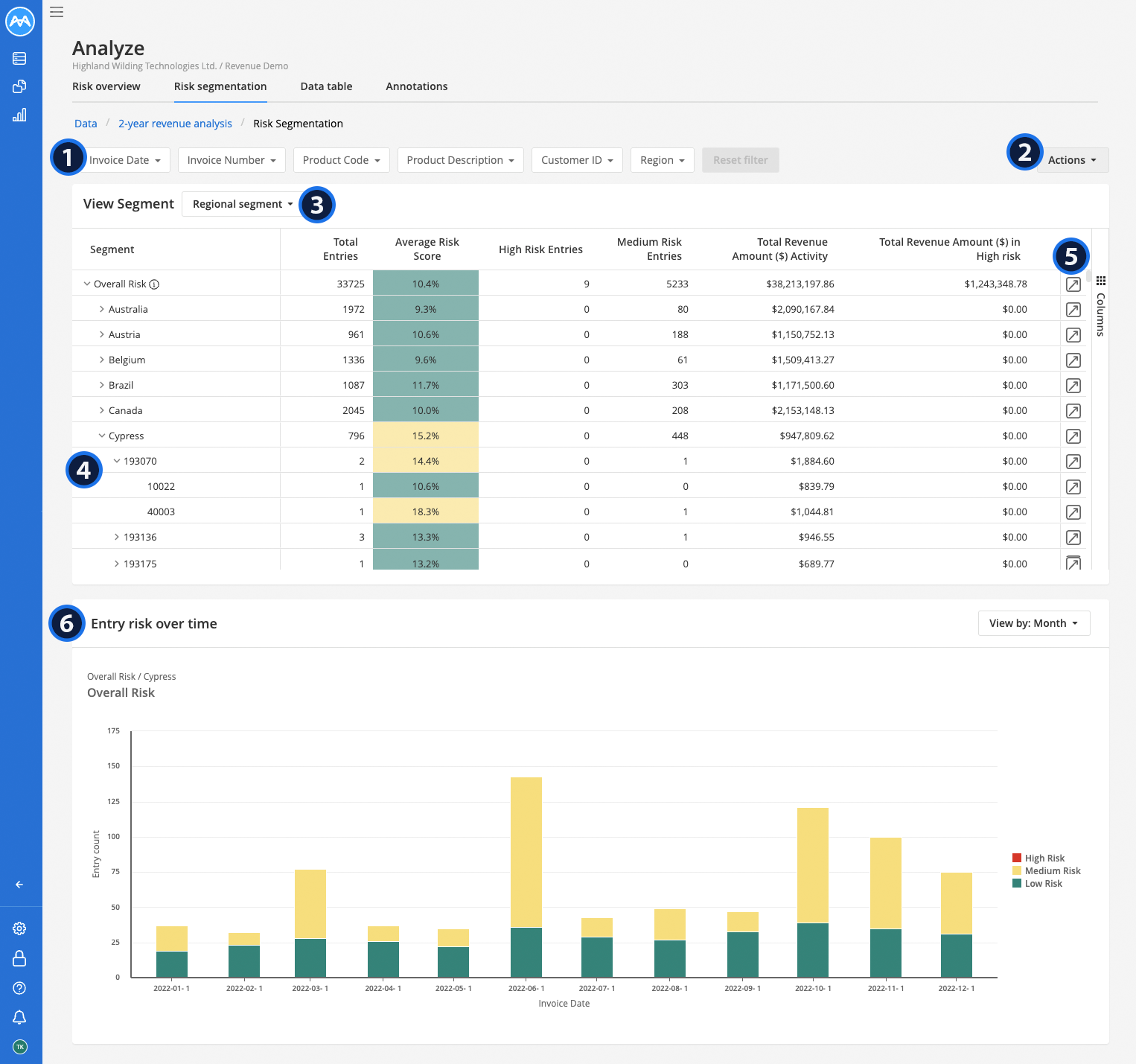 Screenshot showing the Risk segmentation dashboard in a Flex analysis